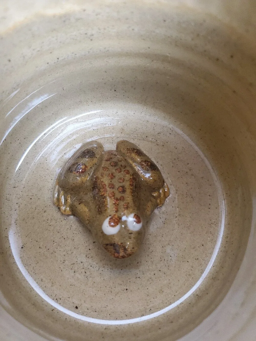 VTG NOS RARE P&L Wilson THATCHERS CIDER Three-Handled 'Surprise Frog' Tyg Mug